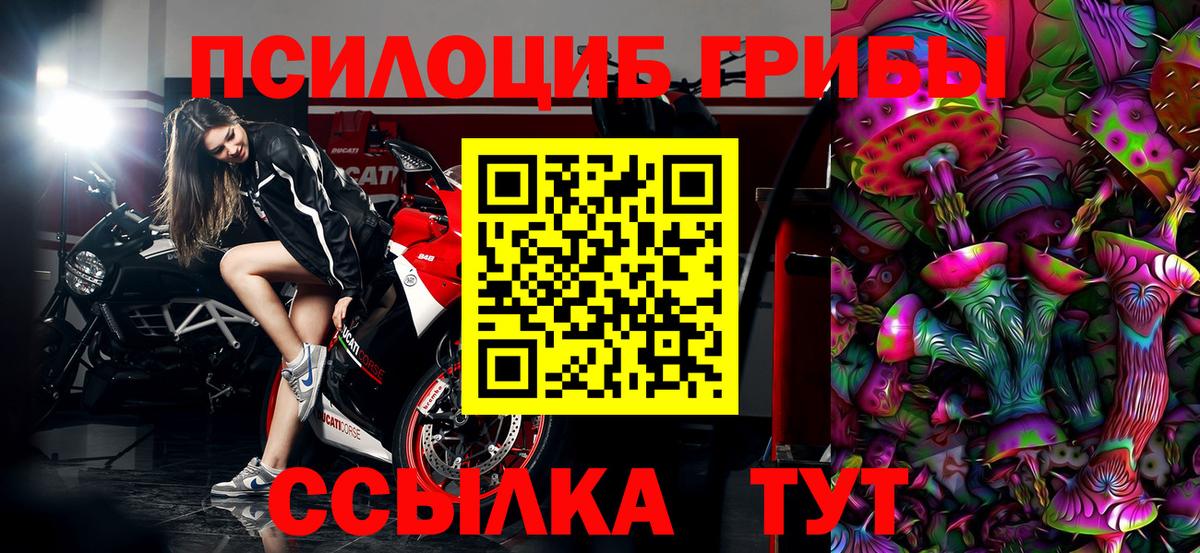 Гатчина  Галлюциногенные грибы Magic Shrooms  Вход с VPN  Псилоцибиновые грибы Psilocybine cubensis 